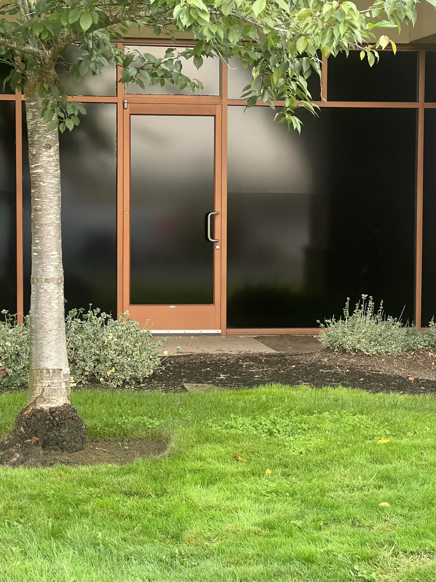 Window Glazing in Forest Grove